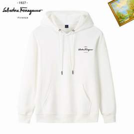 Picture of Ferragamo Hoodies _SKUFerragamoM-3XL25tn023092